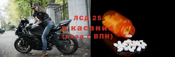 эйфоретик Беломорск