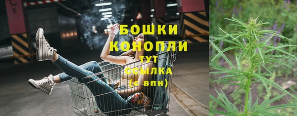 эйфоретик Беломорск