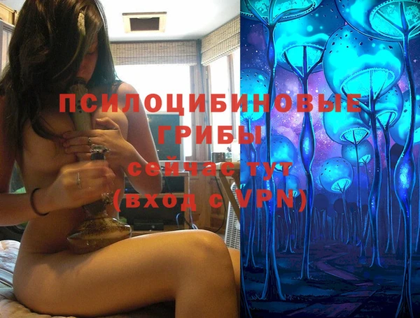 эйфоретик Беломорск