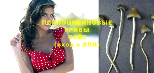 спайс Белокуриха