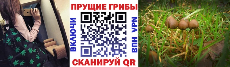это как зайти  купить  цена  Пыть-Ях  Галлюциногенные грибы мухоморы 
