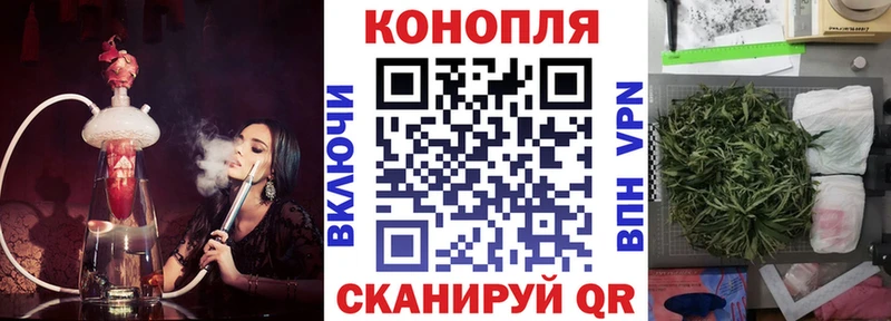 Бошки марихуана планчик  где можно купить   Пыть-Ях 